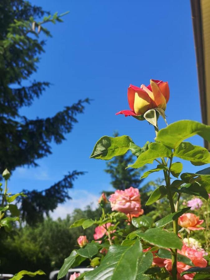 Penzion Pod Orechom Stubnyafürdő Kültér fotó